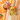 Activated Probiotic Shot - Bright Orange